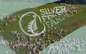 Silver Fern Farms